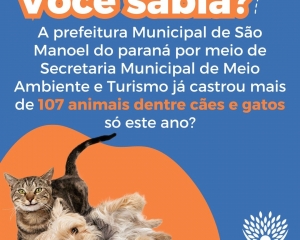 post-para-instagram-informacao-sobre-gato-verde-laranja-moderno-1_(261).jpg