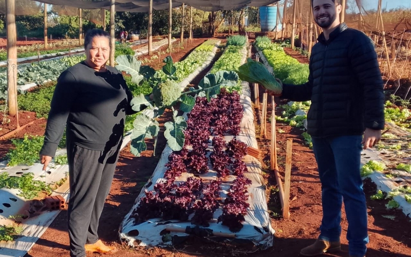 Horta Municipal de São Manoel do Paraná/PR registra recorde de colheita e amplia atendimento as famílias