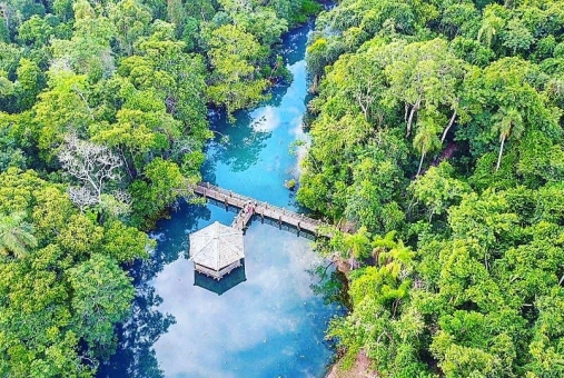 Foto de Reserva Ecológica Caraguatatiba da Divisa